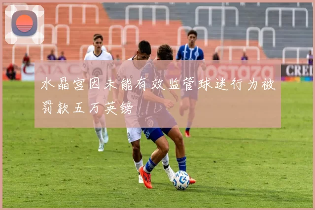 水晶宫因未能有效监管球迷行为被罚款五万英镑