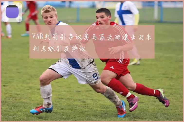 VAR判罚引争议奥乌苏头部遭击打未判点球引发热议