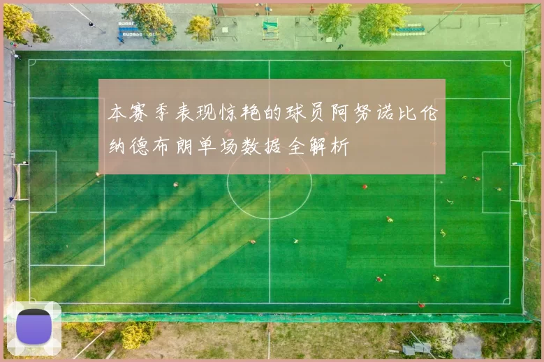 本赛季表现惊艳的球员阿努诺比伦纳德布朗单场数据全解析